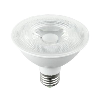 LED PAR30