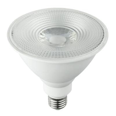 LED PAR38