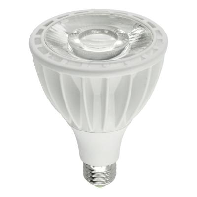 LED PAR30-PRO
